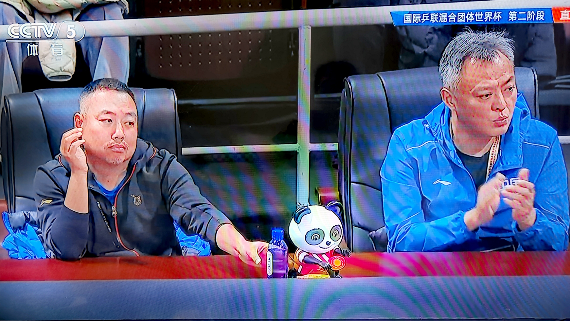关于球迷风云：最疯狂的比赛现场互动瞬间的信息