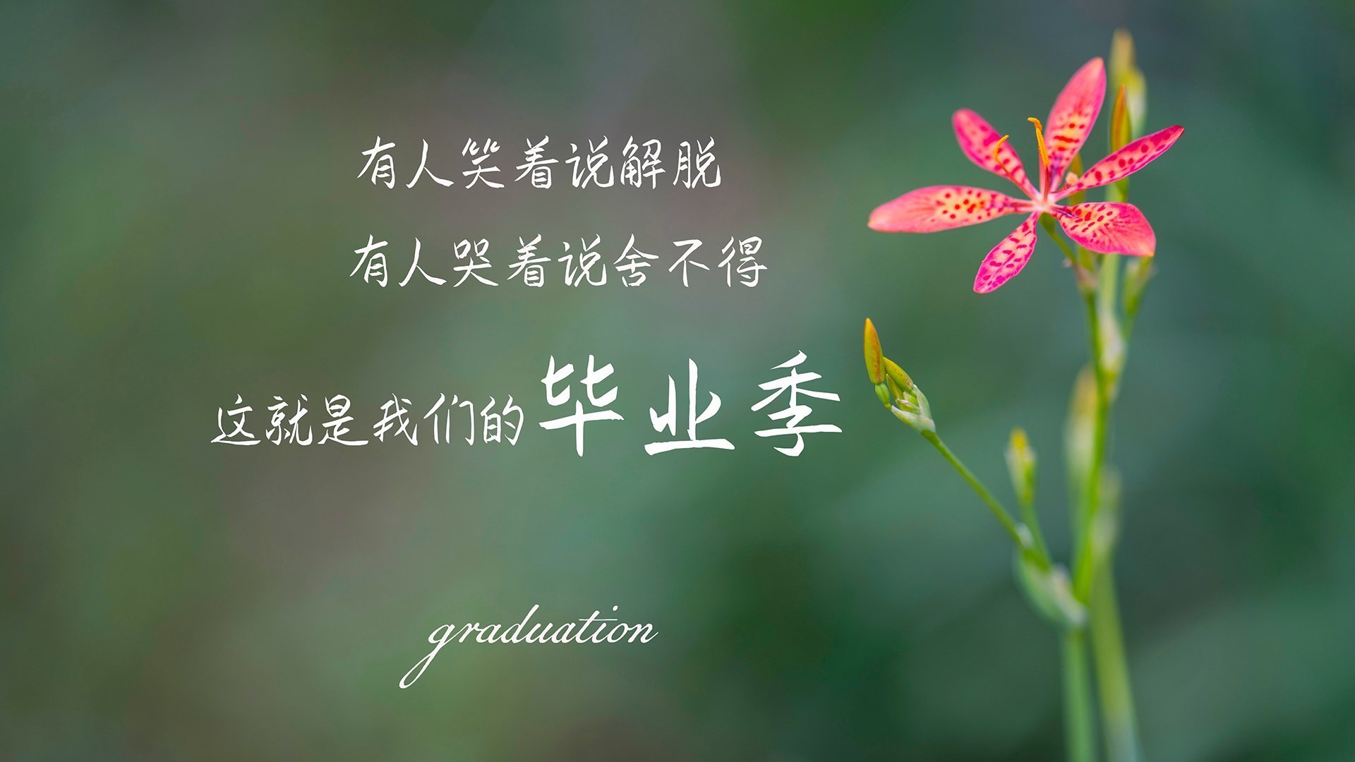 传奇巨星的不老传说，看他们退役后如何继续影响联盟，不老传说百度百科