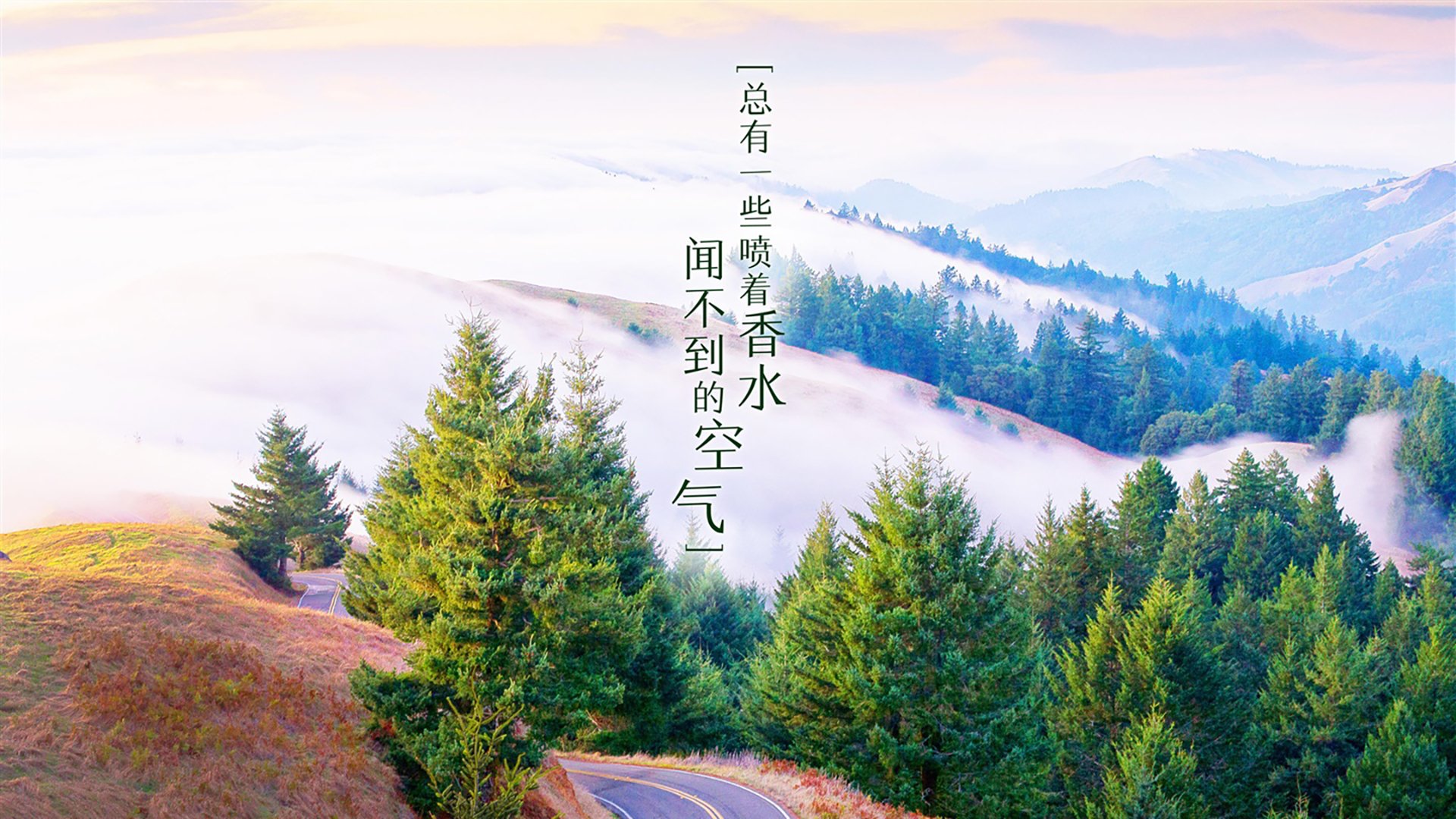 埃及国家德比的裁判选择引发讨论，德比的意义
