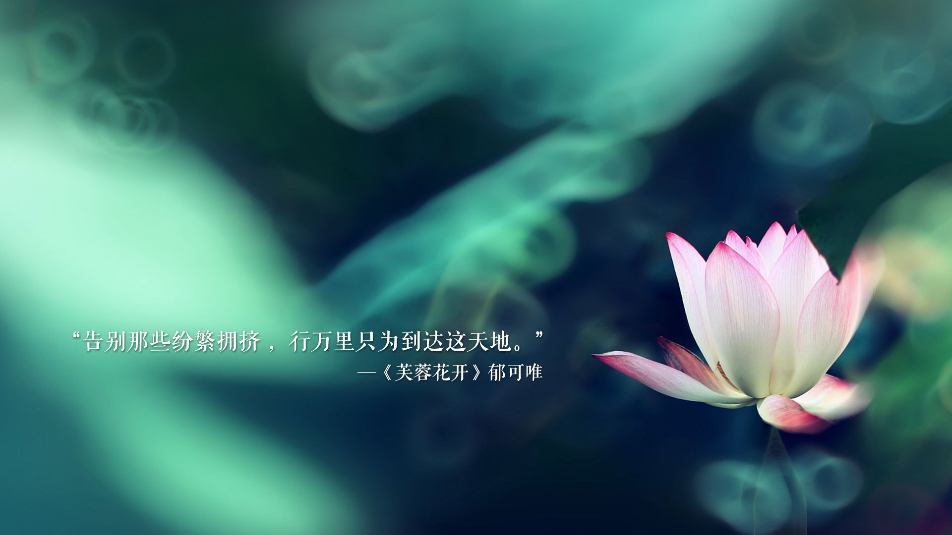 揭秘乒乓球手握拍变化趋势，乒乓球握拍的手叫什么