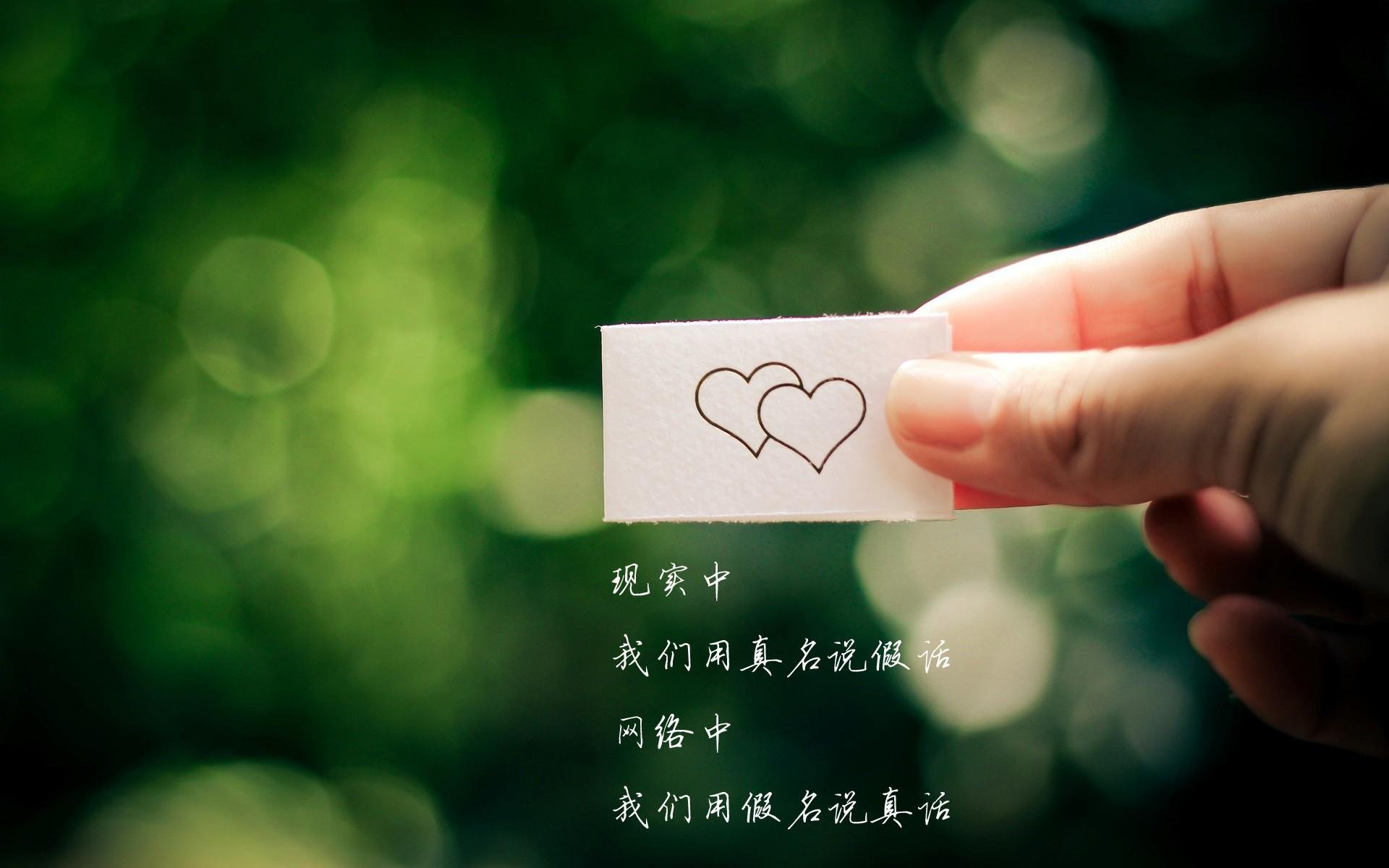 揭秘体操少年冠军成长故事，体操少年动画