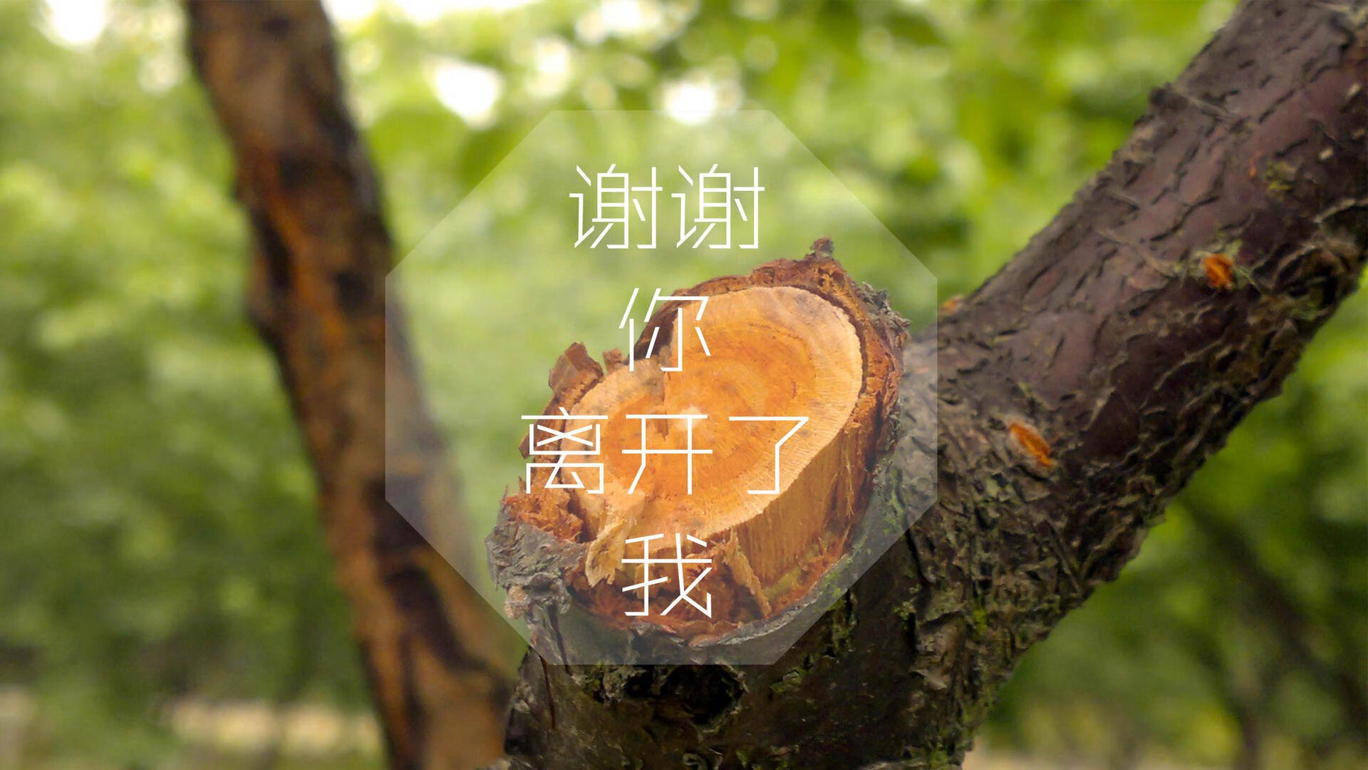 队员表现飘红，成为关键时刻救世主，队员的标准