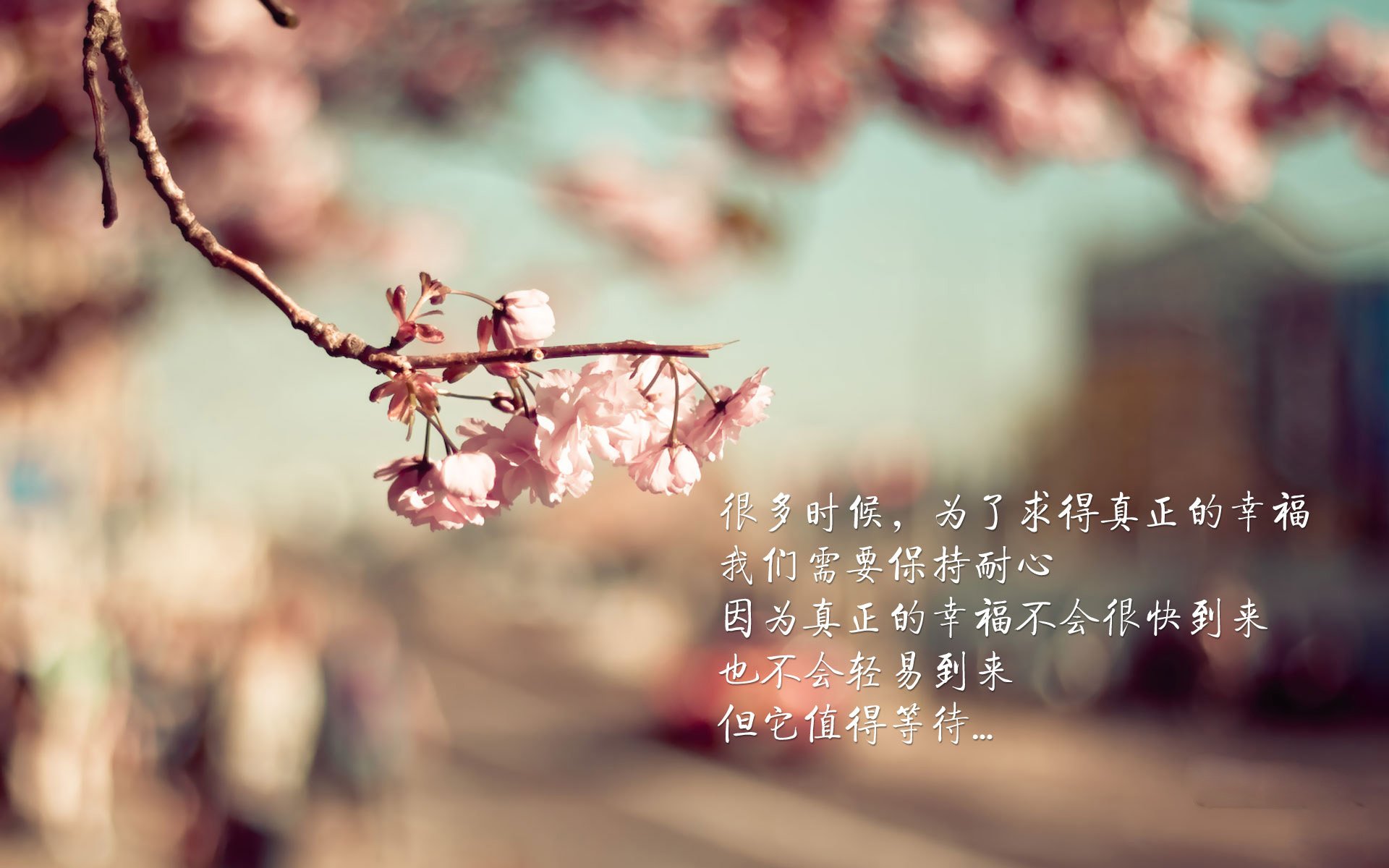 中国女篮提高阵地战处理能力，中国女篮最新战报