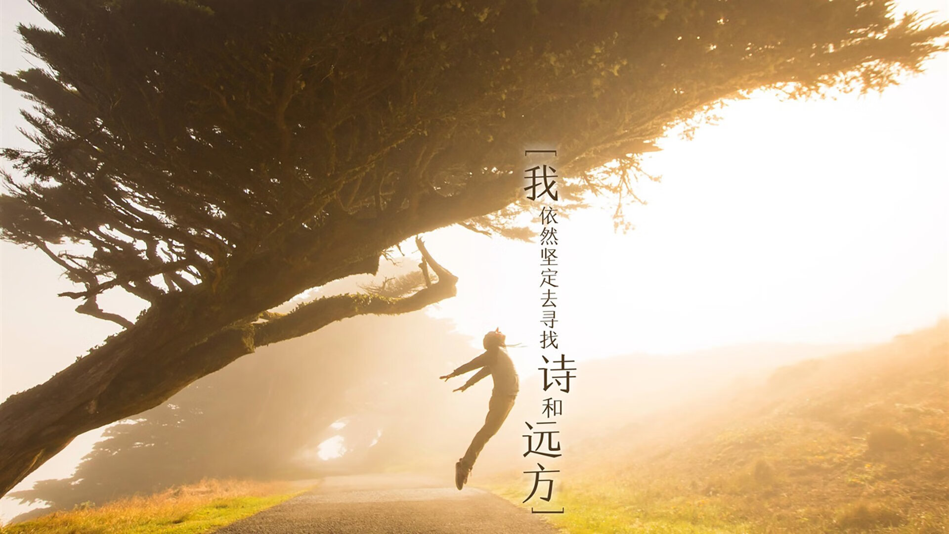 德甲速度之王：突破防线的瞬间令人震撼，德甲最快进球纪录