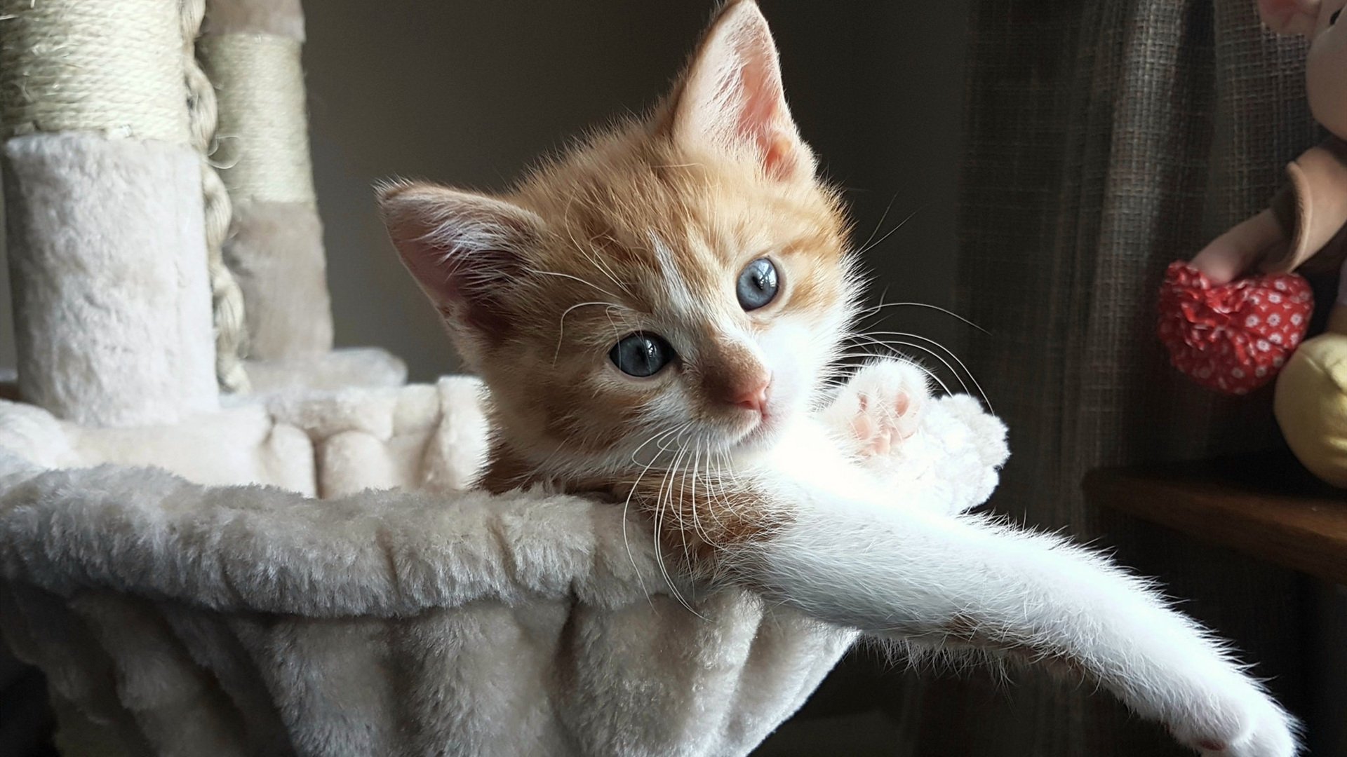 赛后评分系统更精细为教练调整阵容提供量化支持依据，教练在赛后分析会